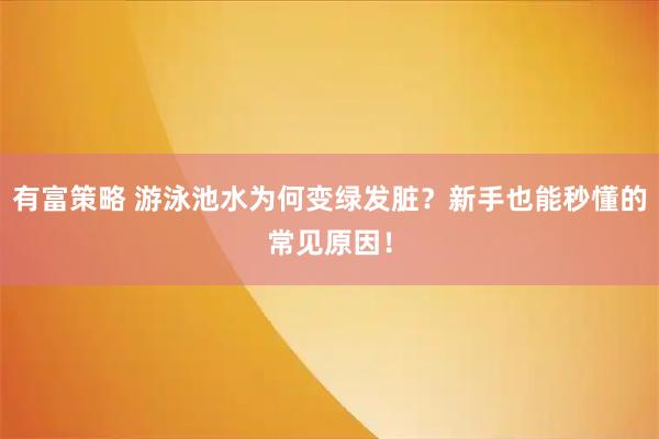 有富策略 游泳池水为何变绿发脏？新手也能秒懂的常见原因！