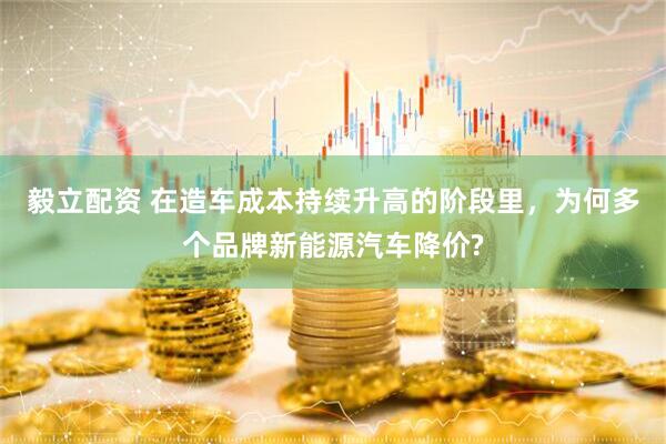 毅立配资 在造车成本持续升高的阶段里，为何多个品牌新能源汽车降价?